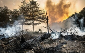 Оценка ущерба после стихийного бедствия в Самаре: отчет оценщика